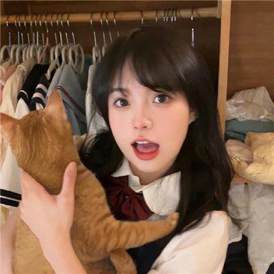 猴子奇缘